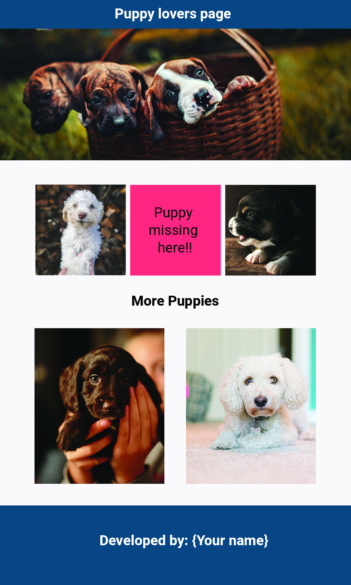Puppy page built with HTML and CSS